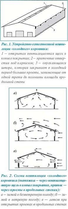Холодное содержание молочных коров <"Холодное содержание молочных коров"/>